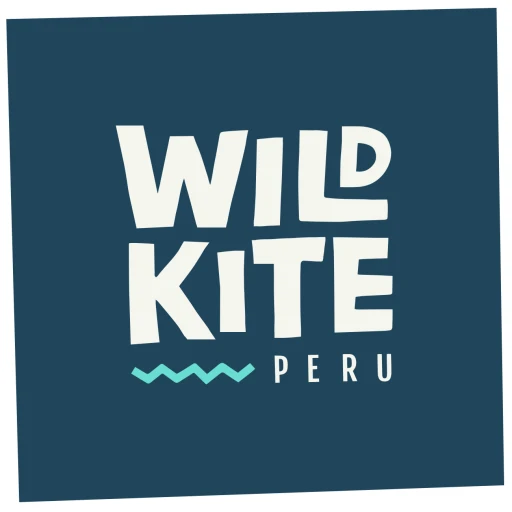 Wild Kite Peru