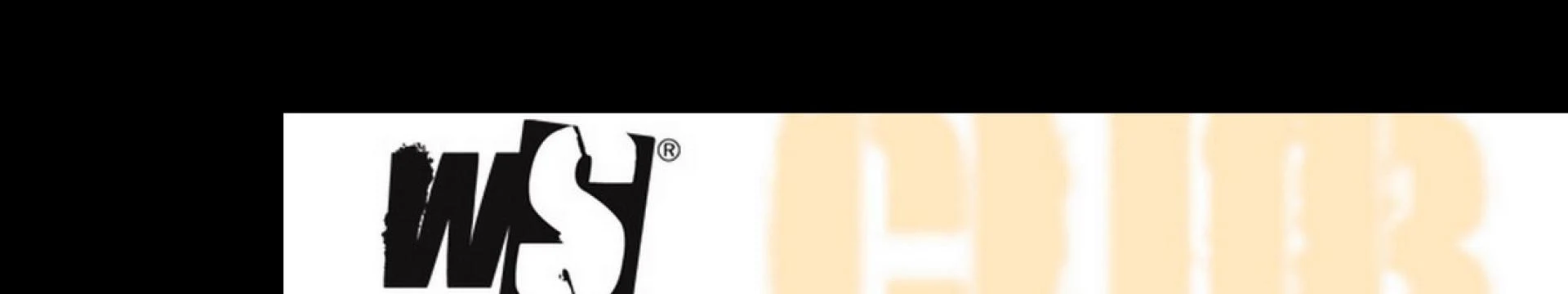 Wind Spirit Club Hero